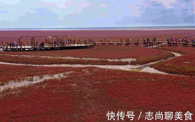 鸟类|中国最美六大沼泽湿地，养在深闺无人识，去过的都惊叹不已