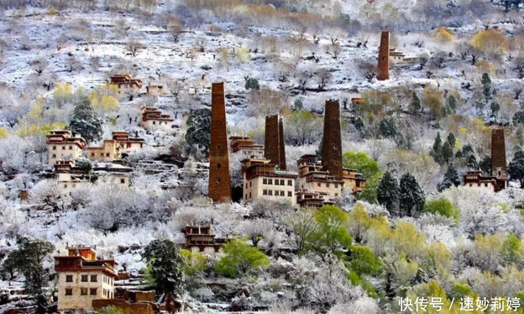 格桑花|春天，跟着花开去旅行，金川梨花白如雪