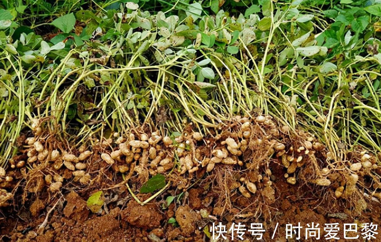 冠状动脉|多走路能降血脂？医生提醒：日常多吃这4物，或比走路效果好
