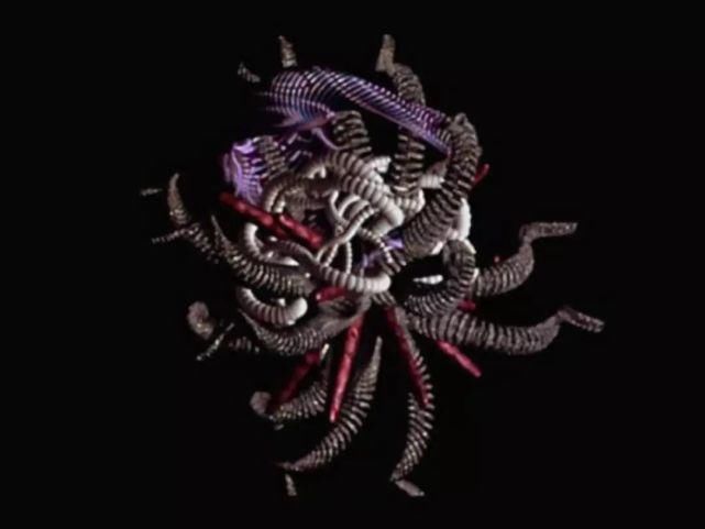 异形|人类你别以为自己长得美,事实上,生物就该美成异形那个样……