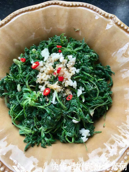 野草|這種野草是“養肝第一藥”!每年一點,活到80歲難患肝病