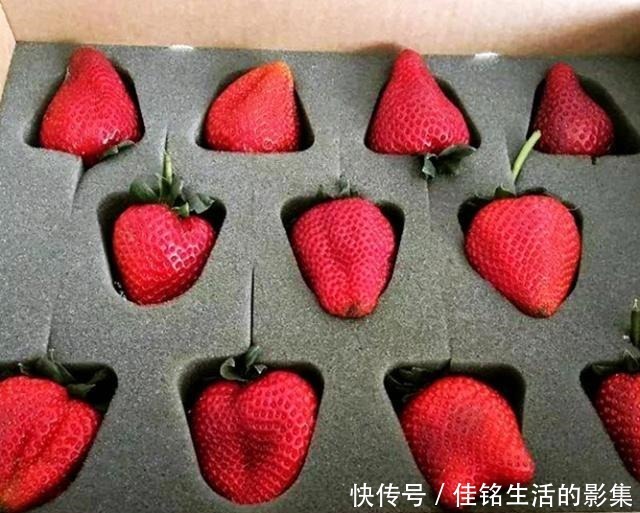 包装|超市“多此一举式”的食物包装,商家真的以为顾客都很蠢吗