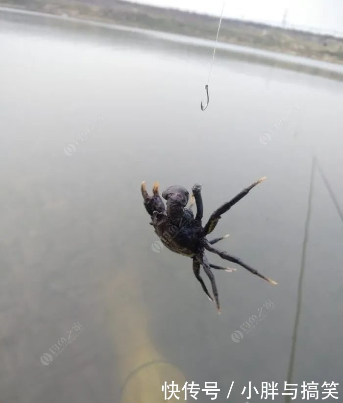 钓鱼人的痛,不钓你还真不知道!