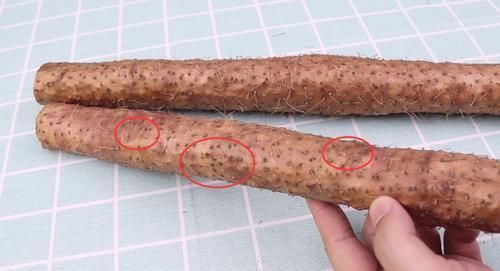 口感|才知道,这3种山药不能买,买了也不能吃,看完涨知识了