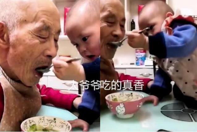 家长|“最孝顺宝宝”火了，爬上桌子给90岁太爷爷喂饭，网友：看哭了
