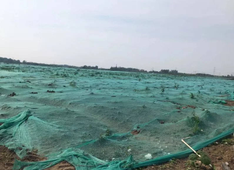t33|重磅!800万元/亩起拍!潍坊又一黄金地块开卖