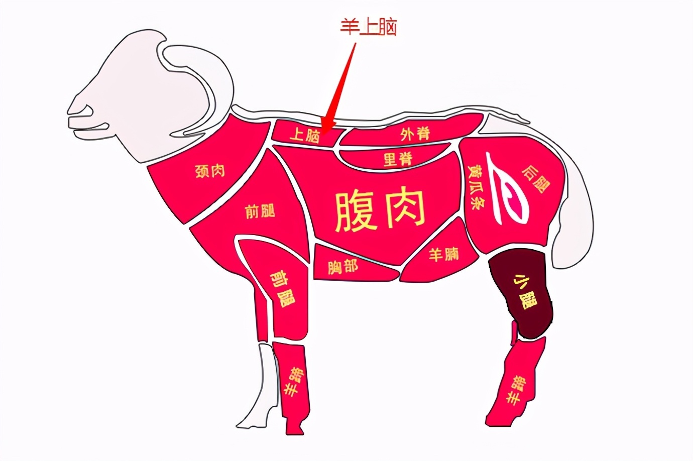 宝妈|买羊肉时,专挑4个部位选,很多人买错,摊主来买的都是行家