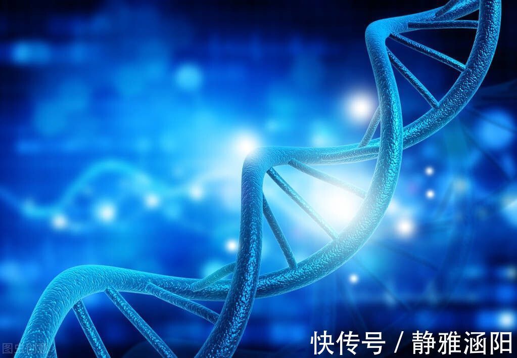 女孩|为什么有些家庭一直生儿子,有些家庭一直生女儿?