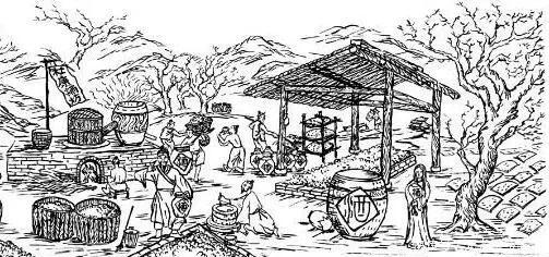 复仇|“杜康造酒”背后隐藏着一场关于王位、爱情、复仇的事件