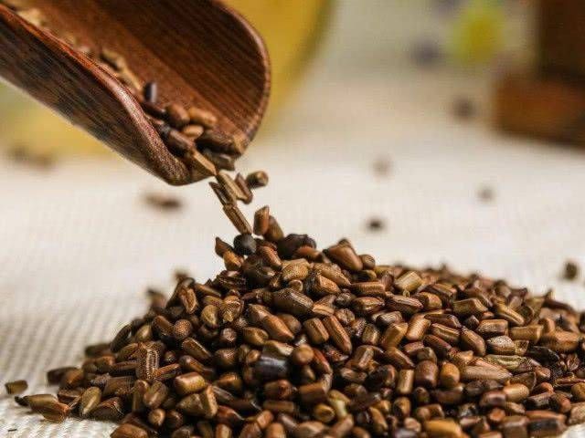 代茶饮|清肝火的“扫地僧”!上能养眼,下能通肠,朴实无华,扫一身火气