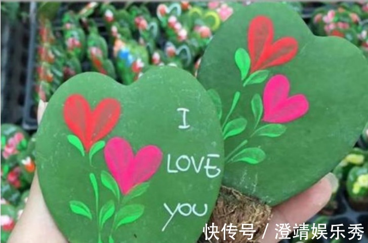 3种“爱情花”,养家里幸福满满,送爱人浪漫真诚,快快养起来!