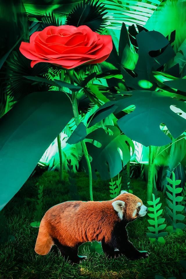 来自|如果不是亲眼所见，真不相信这些照片来自于vivo S7