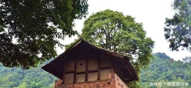 文物|在张场我们发现了明代的文物~