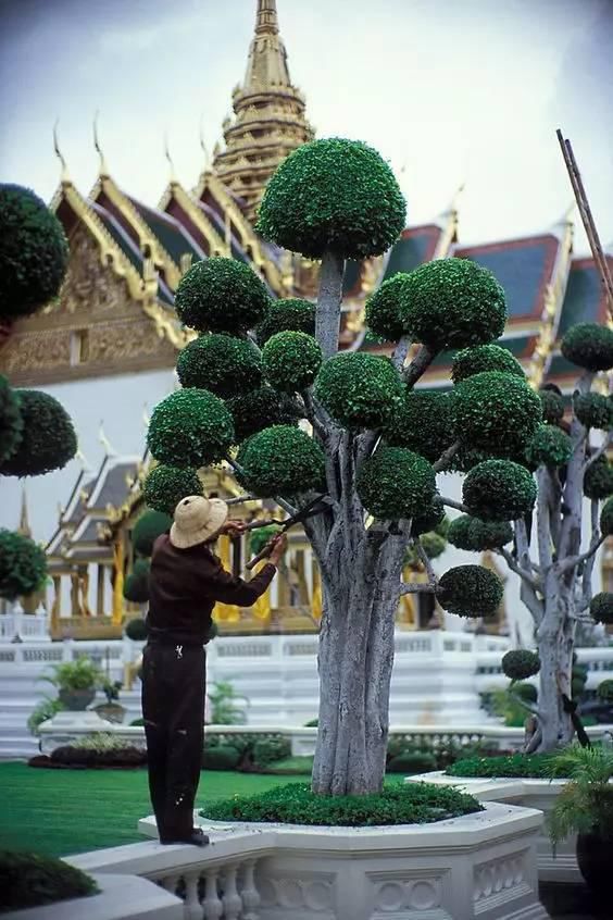 全景|泰国大皇宫全景