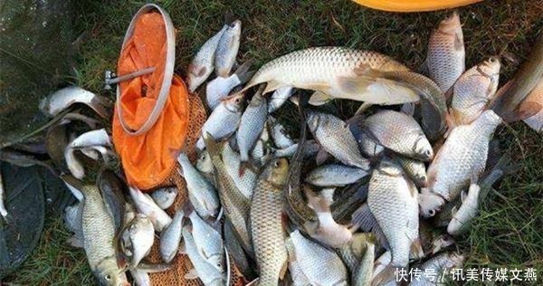 拉饵|钓鱼技巧:“水拉饵”是个什么饵料?是如何搭配使用的?