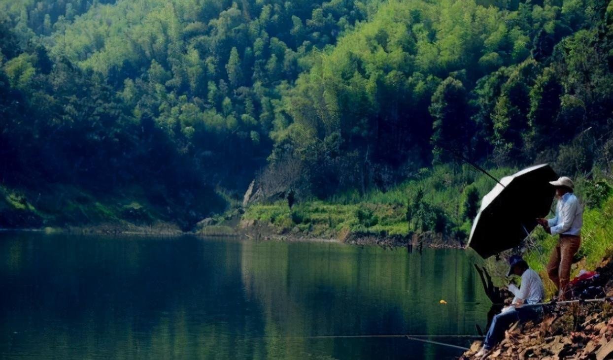 饵料|野钓收获不理想?那是饵料使用错误,这才是野钓用饵的正确方法