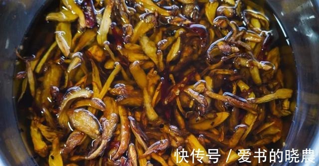 舌尖|「舌尖上的永胜」之鸡枞油!