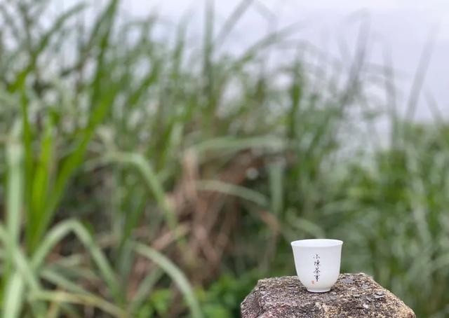 味道|日常知识科普,老白茶味道淡些好,还是浓些好?