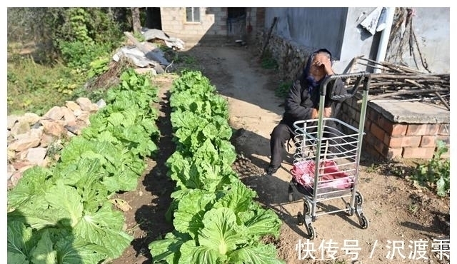 秘诀|100岁奶奶,饭前习惯特殊,至今满头黑发,看长寿秘诀是啥