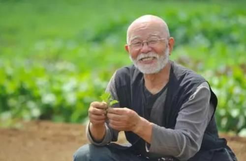 老人|很多“病”并不算病,只是人老了?4类疾病,无需过度治疗