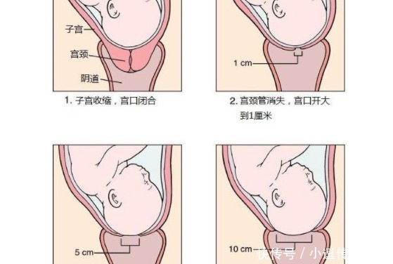 子宫收缩|胎儿那么大，产道那么小，宝宝是如何分娩的，看完后不敢相信