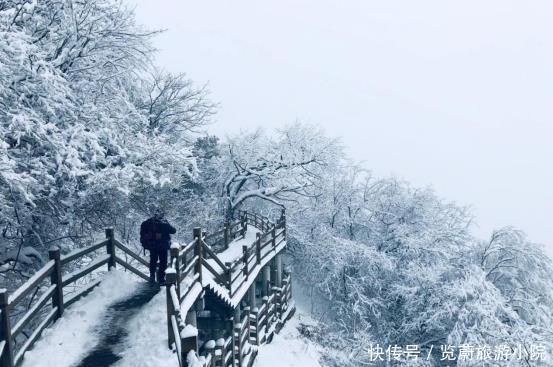 盛世|最不可辜负的雪之盛世——秦岭紫柏山！