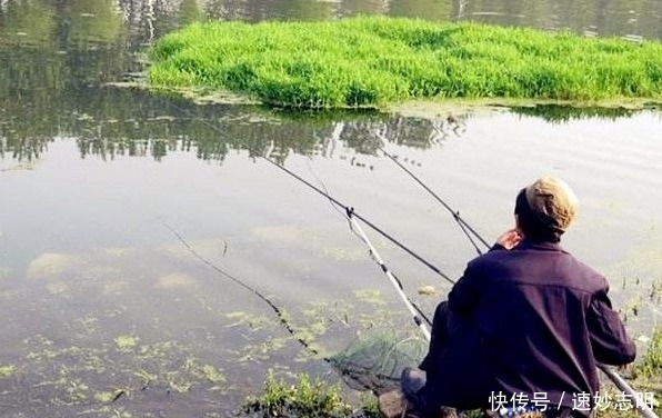 春钓浅滩?非也?老司机倾囊相授:这几个地方或许更藏鱼,莫不信