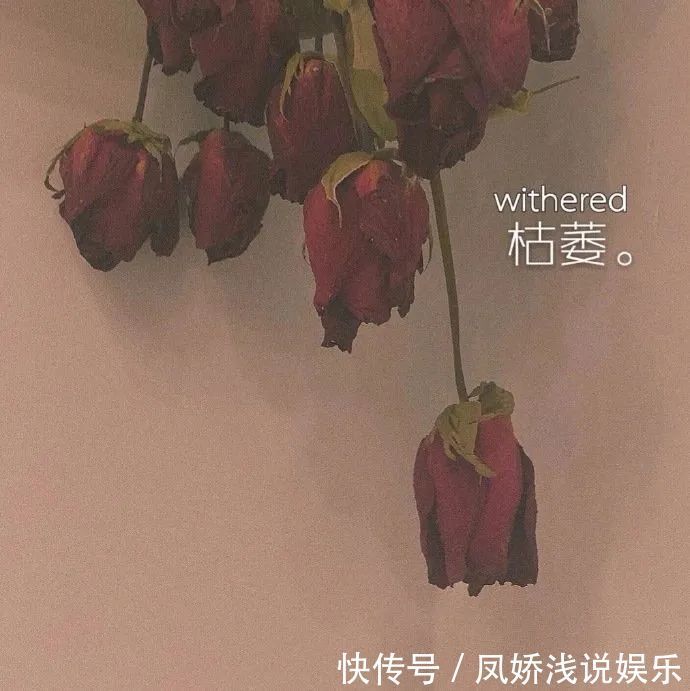 封面|神仙·朋友圈封面丨若似月轮终皎洁,不辞冰雪为卿热