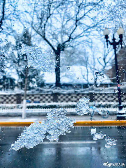 感受|五大道暮冬春雪的盛世美颜