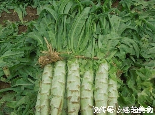 食物|天然的“胶原蛋白”食物,女人经常吃一点,皮肤光滑有弹性