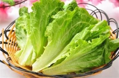 大白菜|各种蔬菜营养深度分析，这5种蔬菜是营养冠军，补钙强骨都靠它