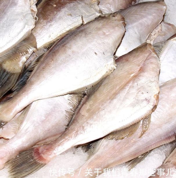 马面鱼|这种鱼“没脸没皮”，价格低廉，很多人看不上，懂行的人经常买