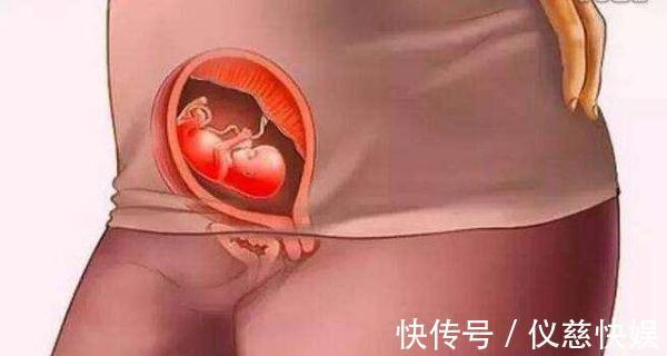 剧烈运动|怀胎十月到底是什么样的,十张图带你看孕育过程,生而为人须了解
