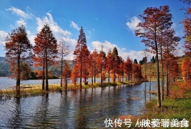 传世|朋友牢骚满腹，伟人毛泽东写诗谈心劝导，一首传世名篇横空出世