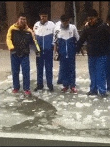 |搞笑GIF段子:让你没事戳狗斗猫,这下赔大发了吧