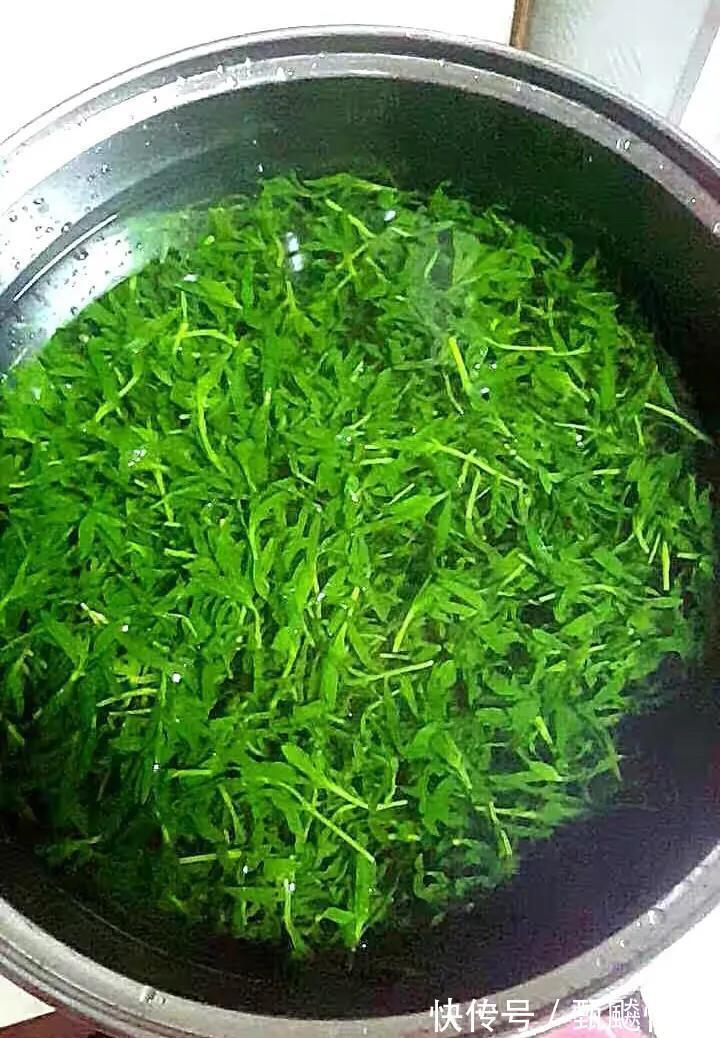 时节|山苜楂菜,鲜嫩又有营养,别错过了这时节吃,不然你得再等一年