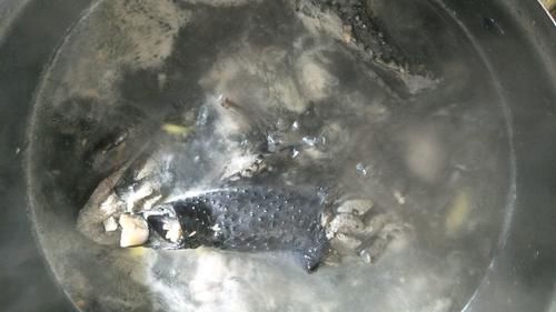 春季进补，多给家人喝这汤，简单炖一炖，补血养血，脸色红润透亮