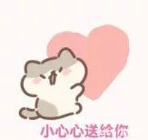 dn《舞蹈生》四十位女生初舞台首秀各具魅力,网友:心动了