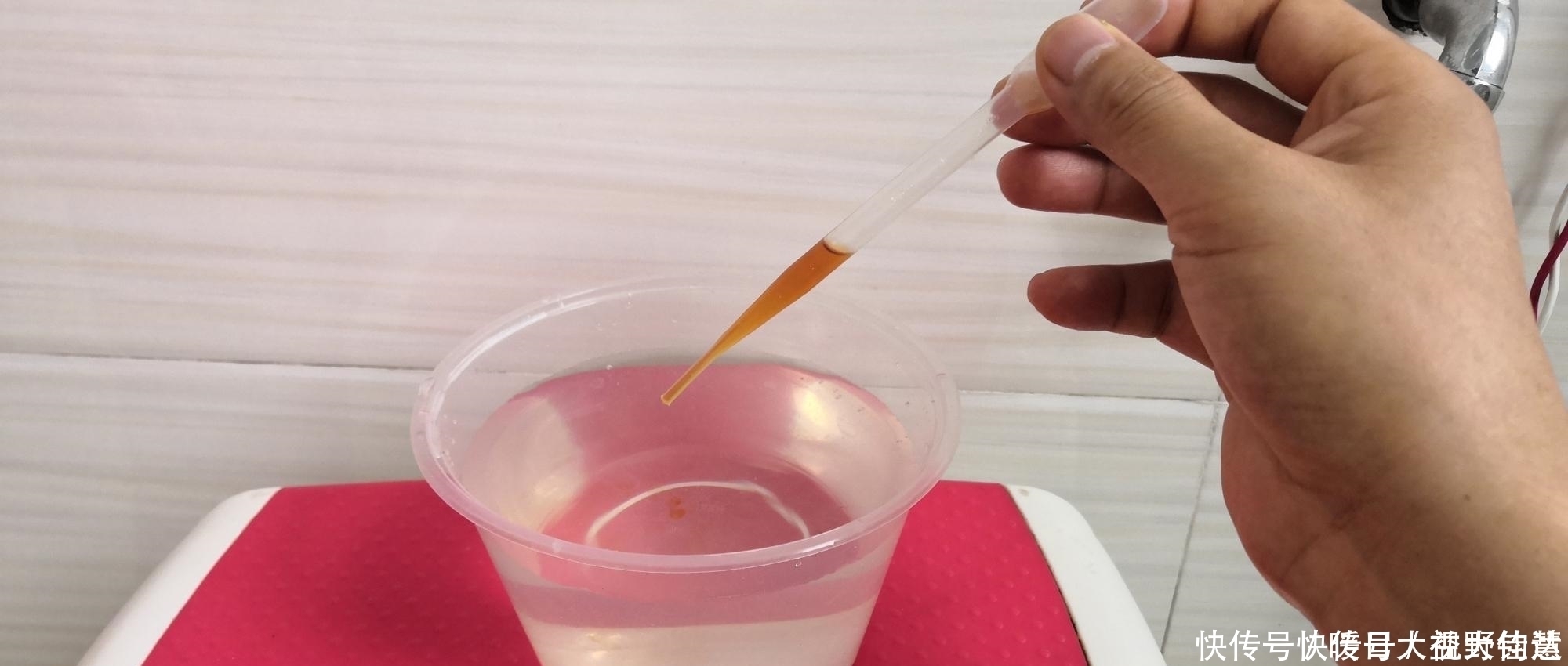 农家小院|养兰人总结出来的养兰偏方，招招好使，叶芽满盆