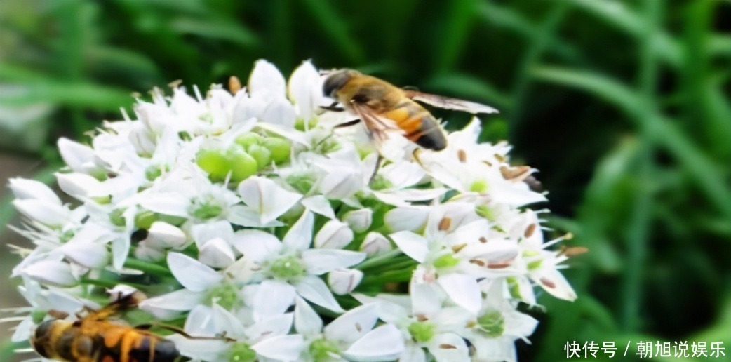 女性想要不显老,推荐吃三种食物,排毒养颜,好处多多