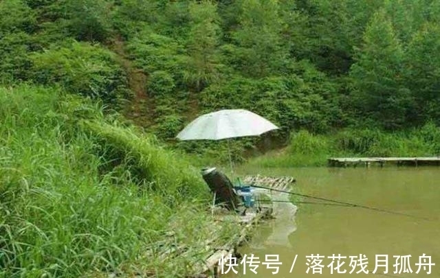 关于调漂、用饵、选钓位的这些口诀,内容不多,但实用性极强