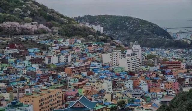 真相|月入一万难买房？泡菜99%来自中国？去了韩国我才知道的10个真相