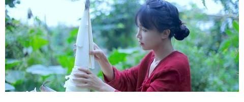 干活|李子柒在地里干活,她的名字却上热搜了