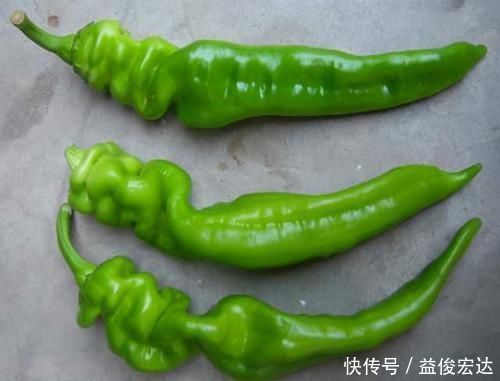 饭店|辣椒炒肉时,有人先炒辣椒有人先炒肉,教你饭店的做法,鲜嫩不腻