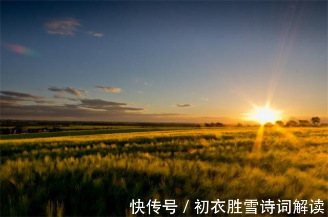 李商隐@唐诗乐游原重阳节登高四首:秋原骑马菊花高,五陵无树起秋风