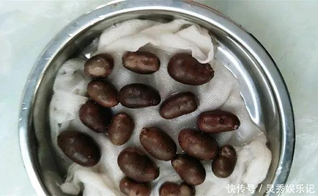 一节山药插水里,疯狂长藤“冒金豆”,赚大了!