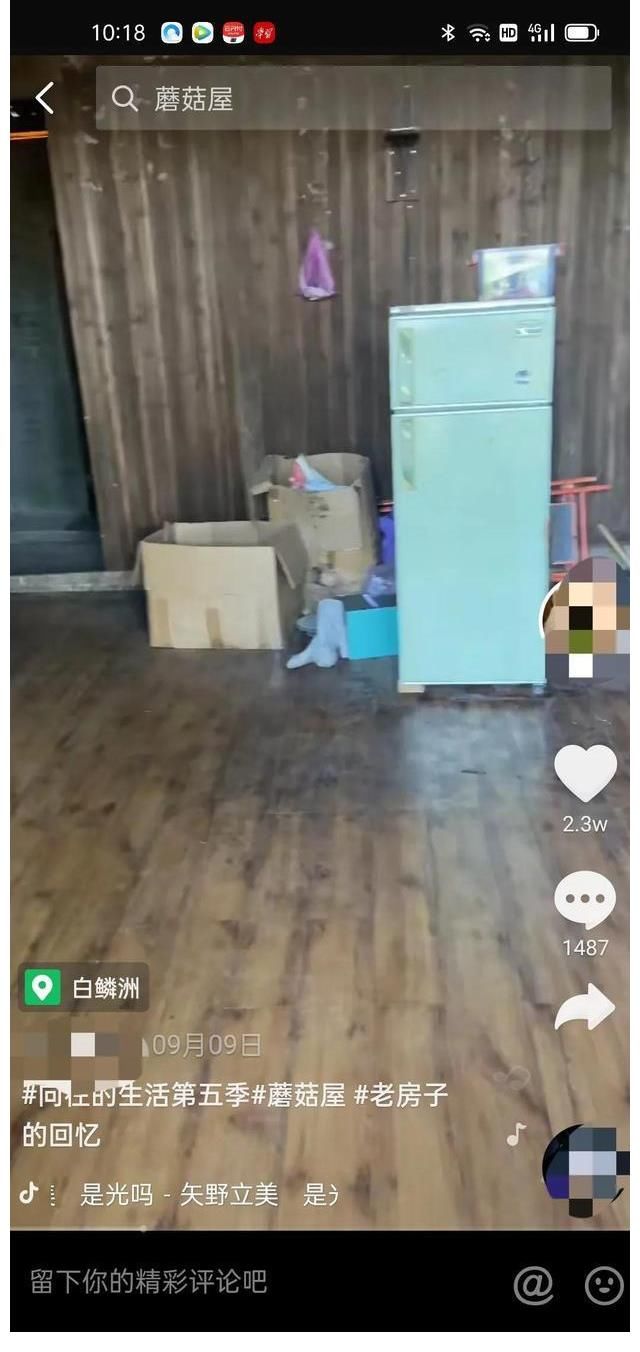 向往的生活|《向往的生活5》錄制地點(diǎn)現(xiàn)狀，圖書館無人管理，蘑菇屋一片狼藉