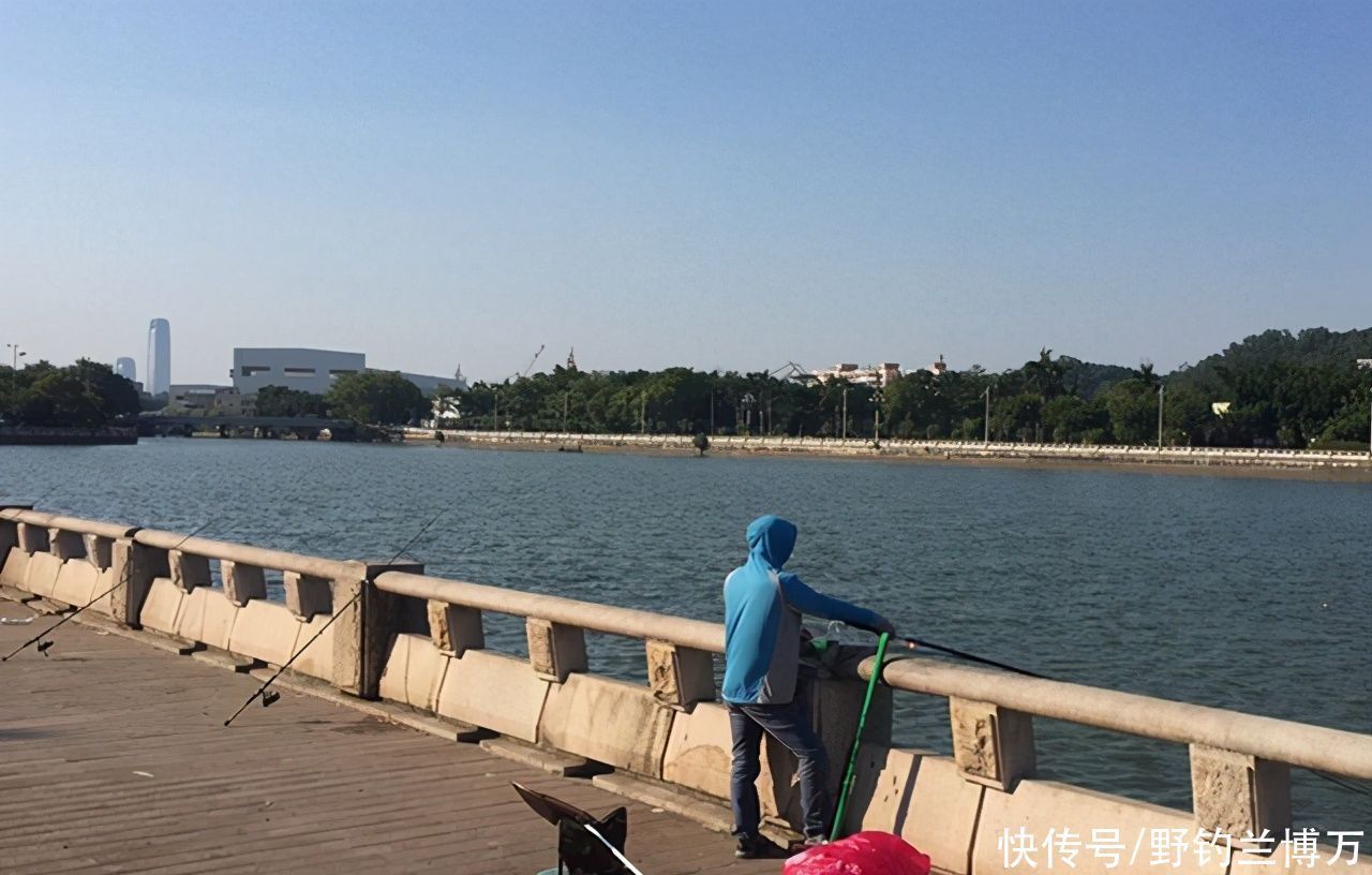 梯子|这届钓鱼人真不一般,为了能钓鱼,真是豁出去了