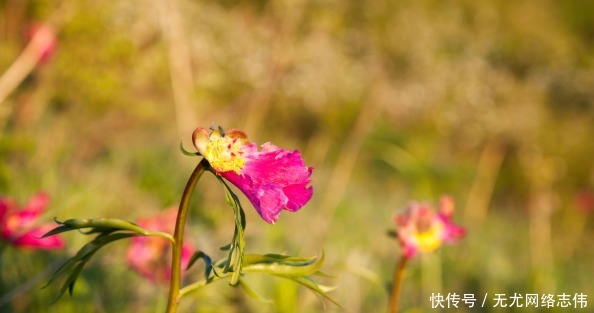 雍正|一个家庭在落败之前,家里会出现这些“特征”,早知道早好