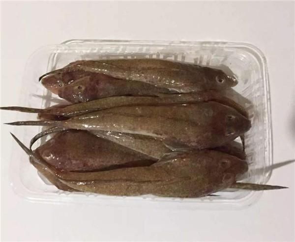 只能|在潮汕有一种海鱼,土名叫鸡腿鱼,做好以后汤腥肉鲜,只能吃鱼肉
